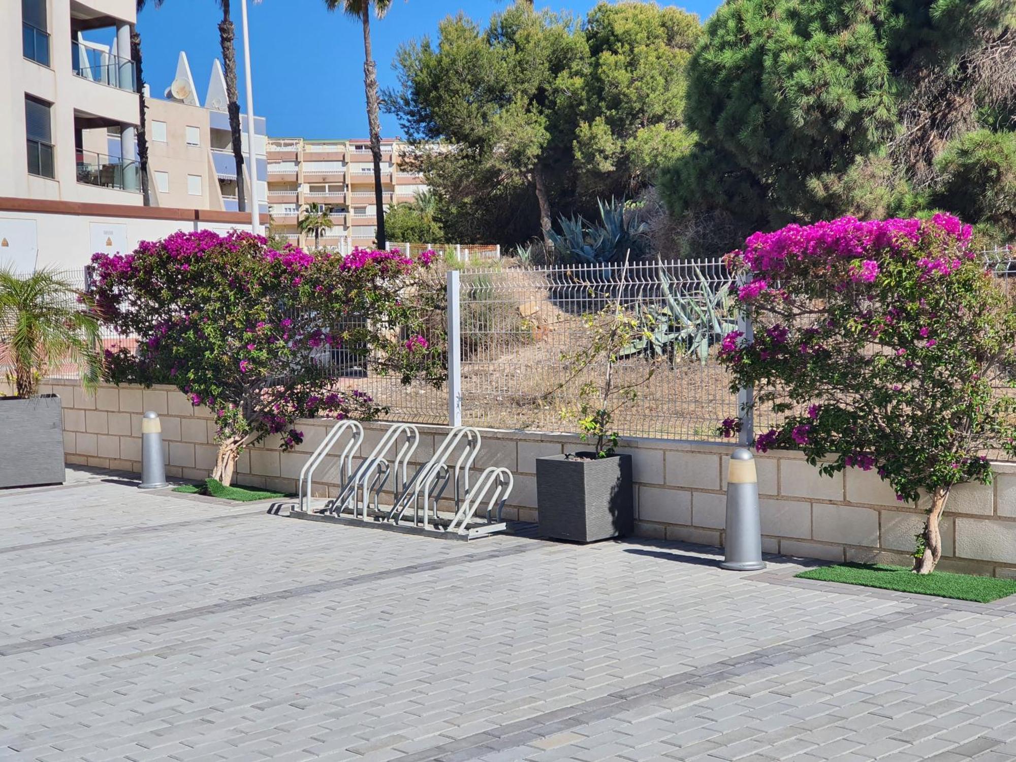 Al048 Pinada Beach IV La Mata ลามาตา ภายนอก รูปภาพ