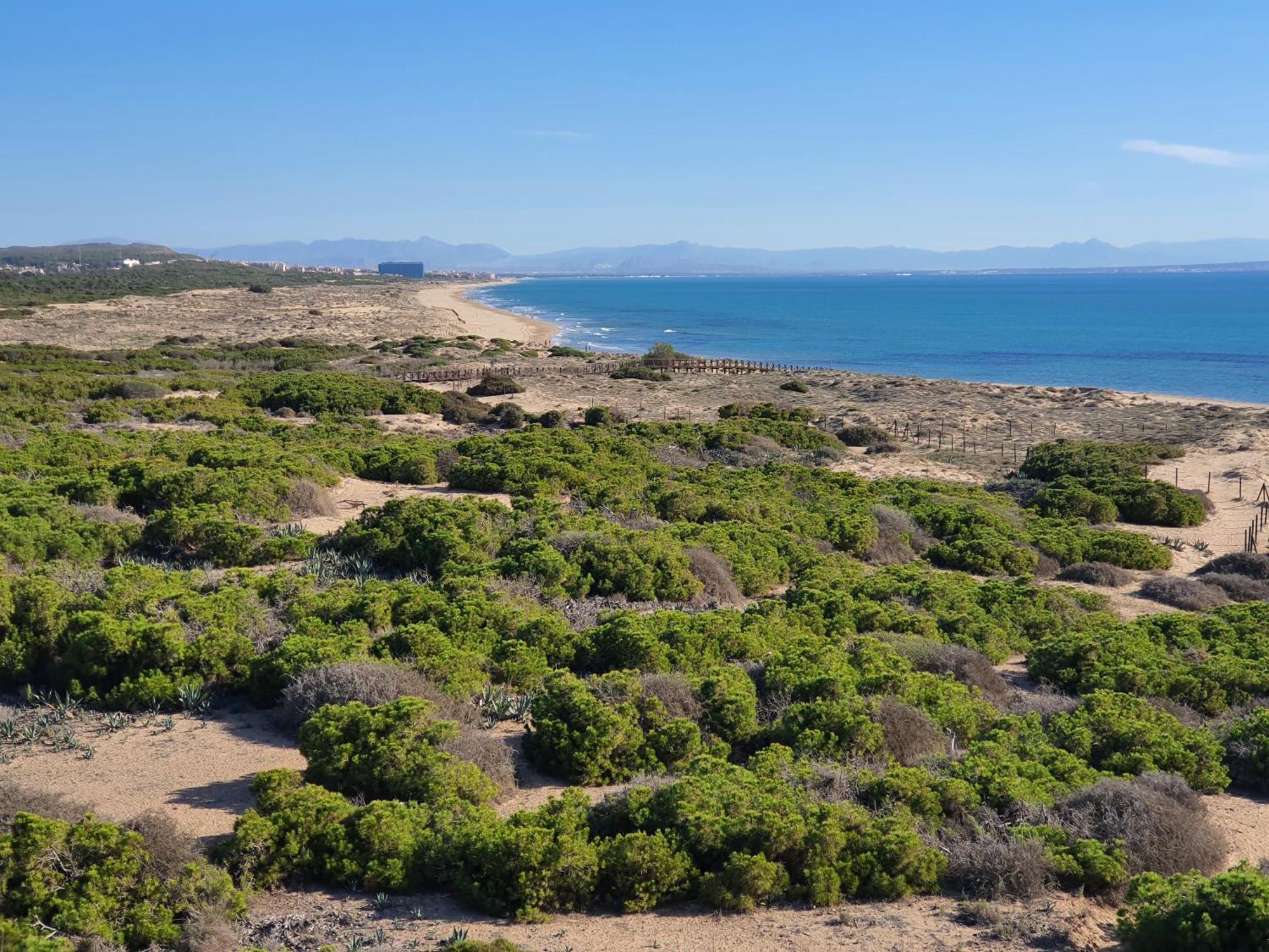 Al048 Pinada Beach IV La Mata ลามาตา ภายนอก รูปภาพ